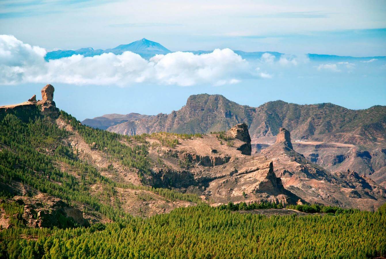 canarias