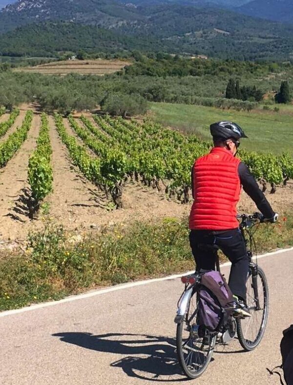 bike-scaled-e1775667556889