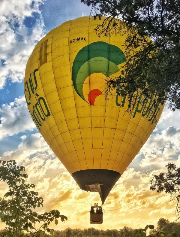 globo3
