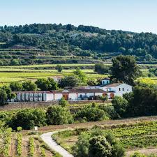 El Penedès: viajar despacio entre viñedos, paisaje y cultura local